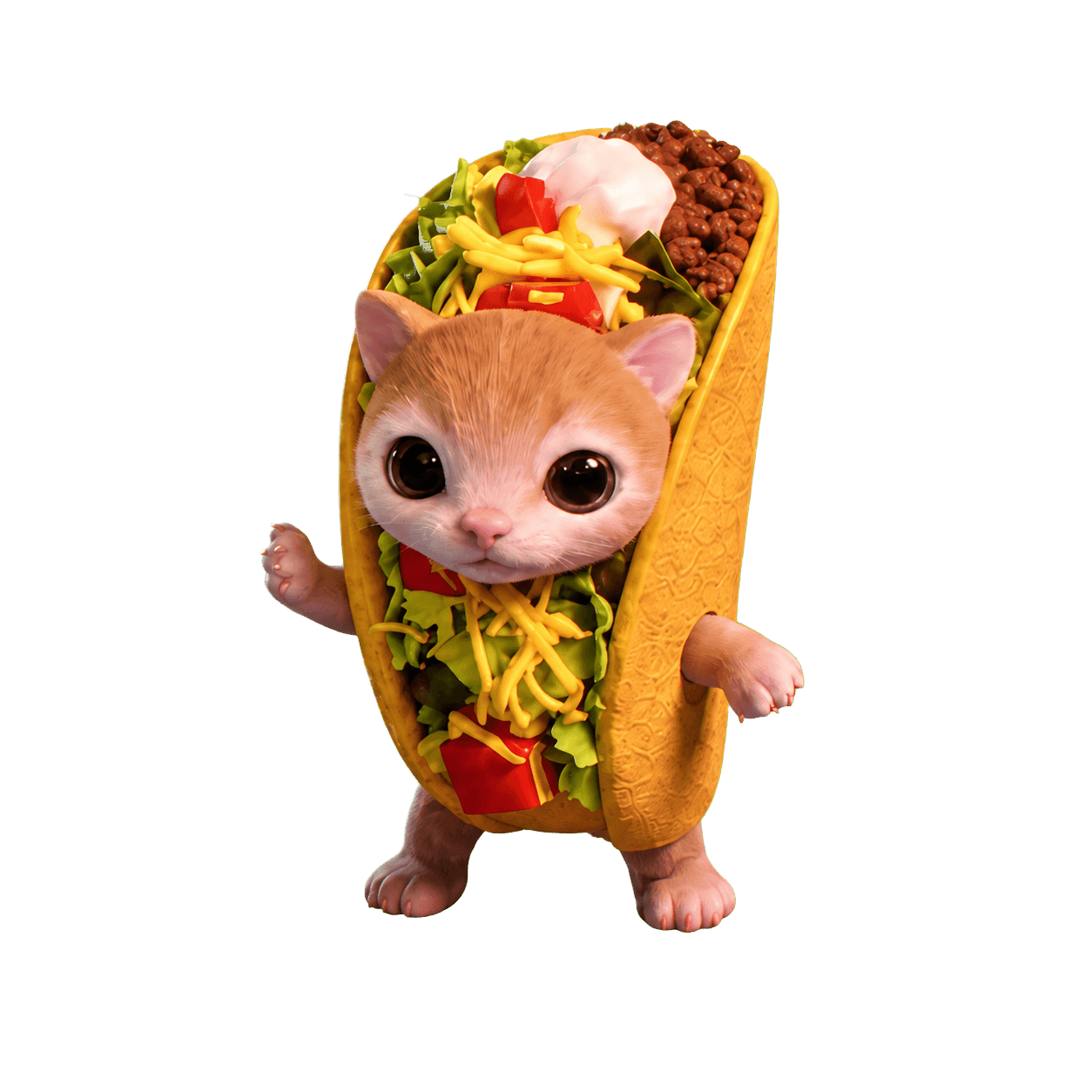 Taco Cat standing proudly